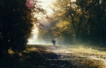Epping Forest