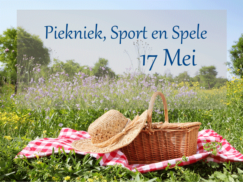 Piekniek, Sport en Spele